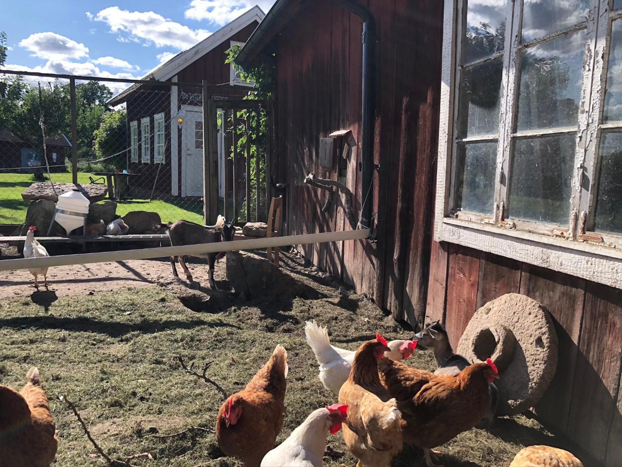 Aeventyrsgardens Vandrarhem, Kinnekulle Källby 외부 사진