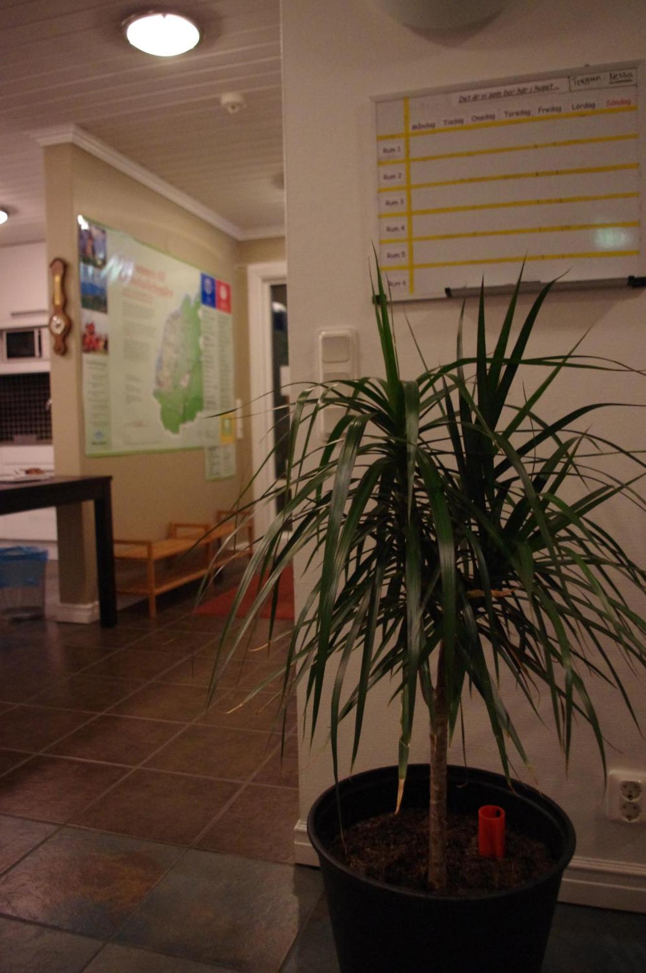 Aeventyrsgardens Vandrarhem, Kinnekulle Källby 외부 사진