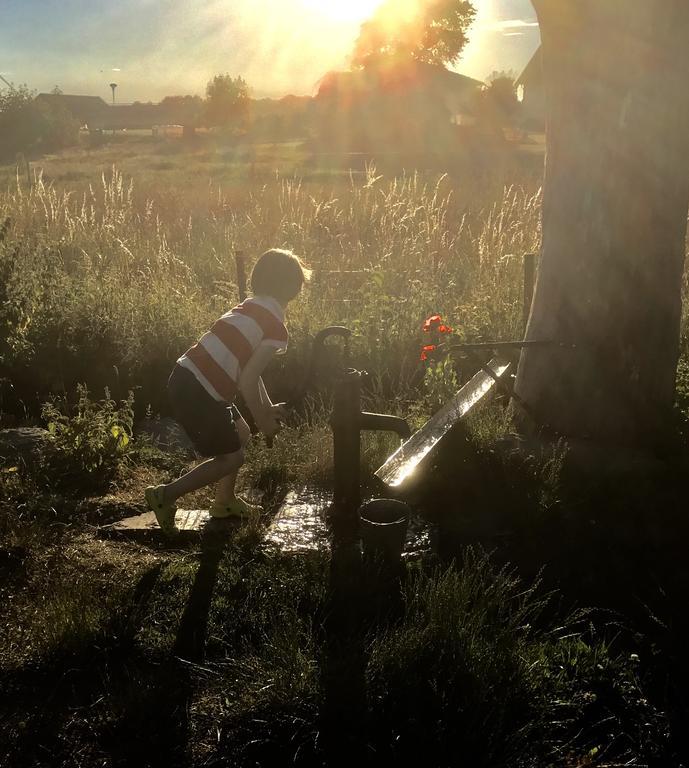 Aeventyrsgardens Vandrarhem, Kinnekulle Källby 외부 사진